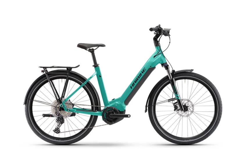 Electric trekking bike